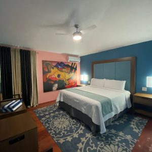 King Suite with Sofa Bed