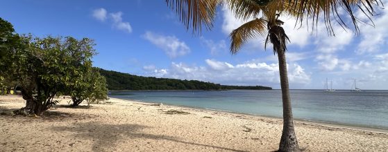 An Image of Sun Bay in Vieques Puerto Rico