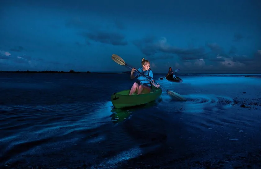 Bioluminescent bay kayak tour in Vieques, Puerto Rico — glowing blue-green water illuminated by dinoflagellates at night