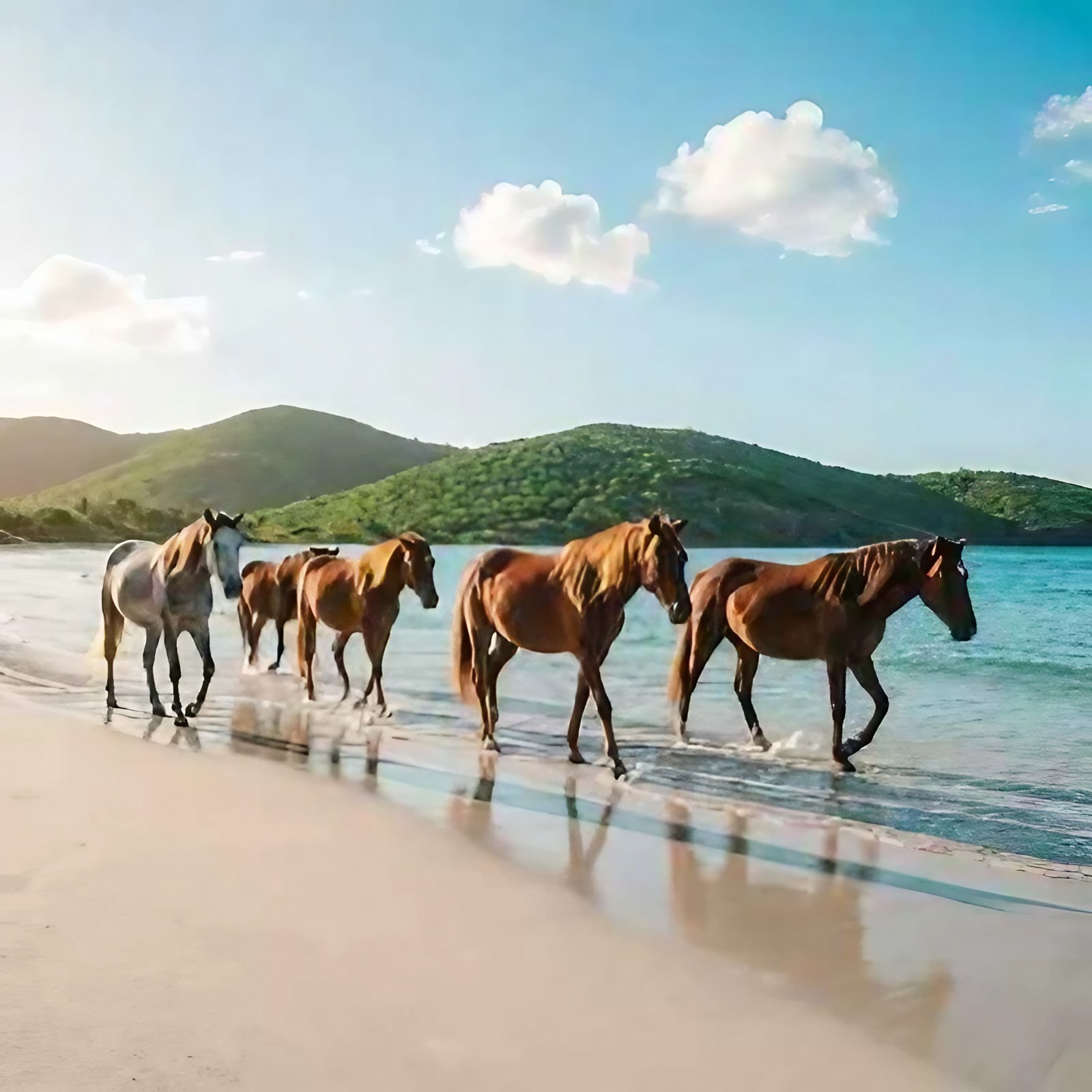 Romantic Atlantic Ocean view from Old Crow Hotel and Suites, a boutique couples retreat in Vieques, Puerto Rico